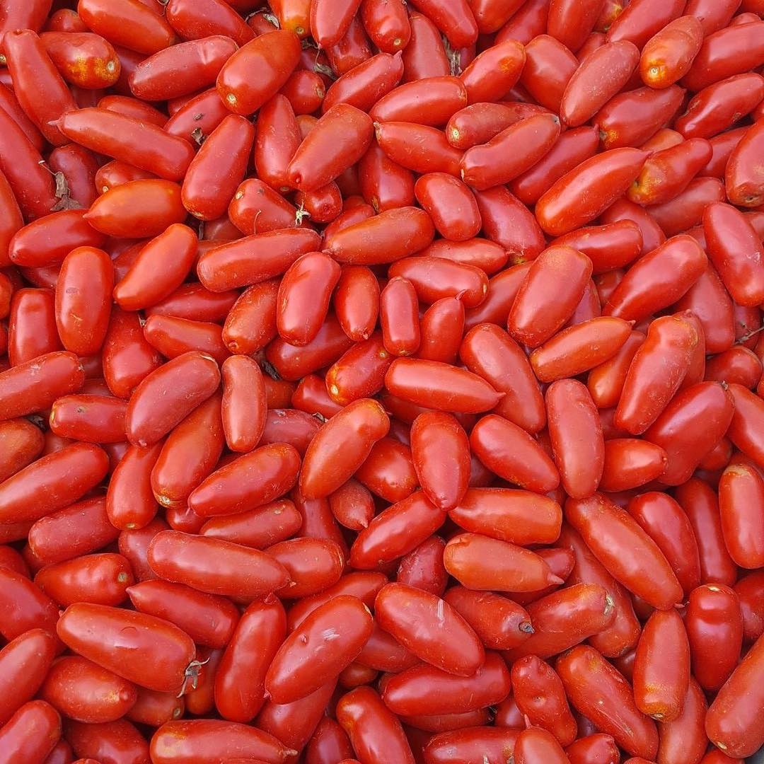 San marzano dop